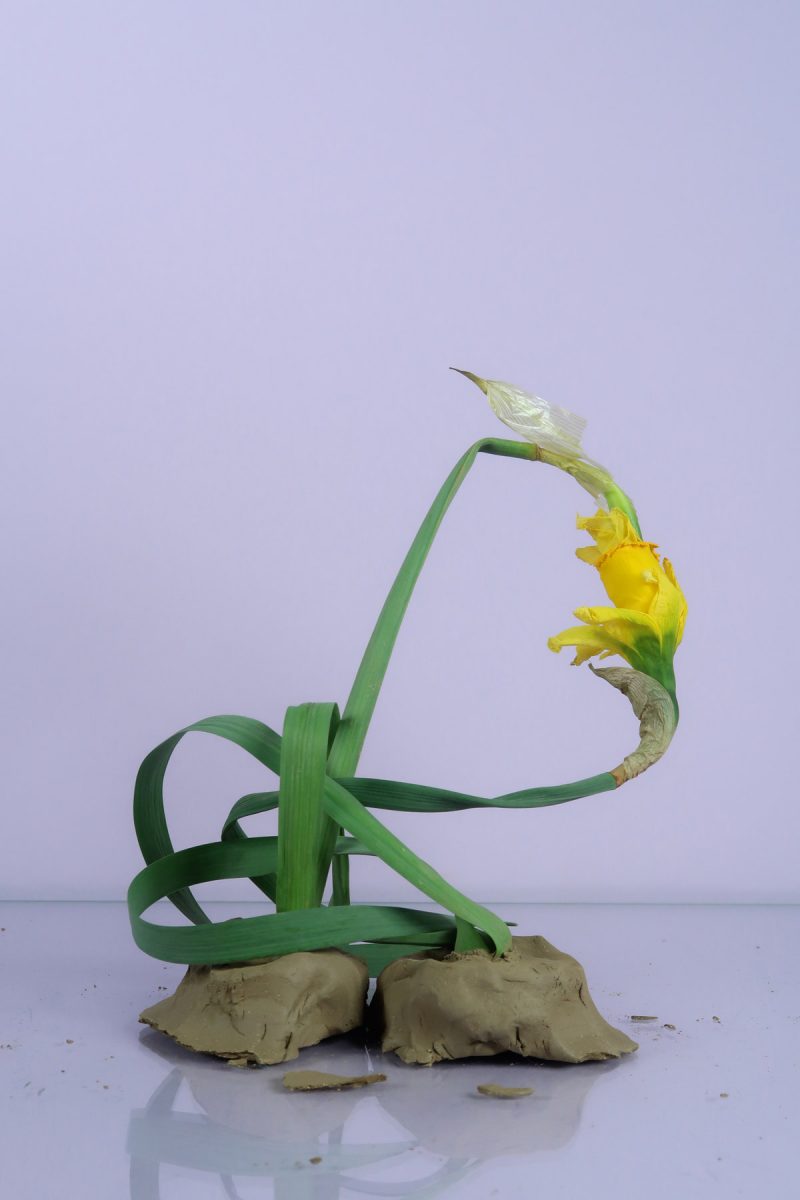 Intertwined1,Sandra Derks