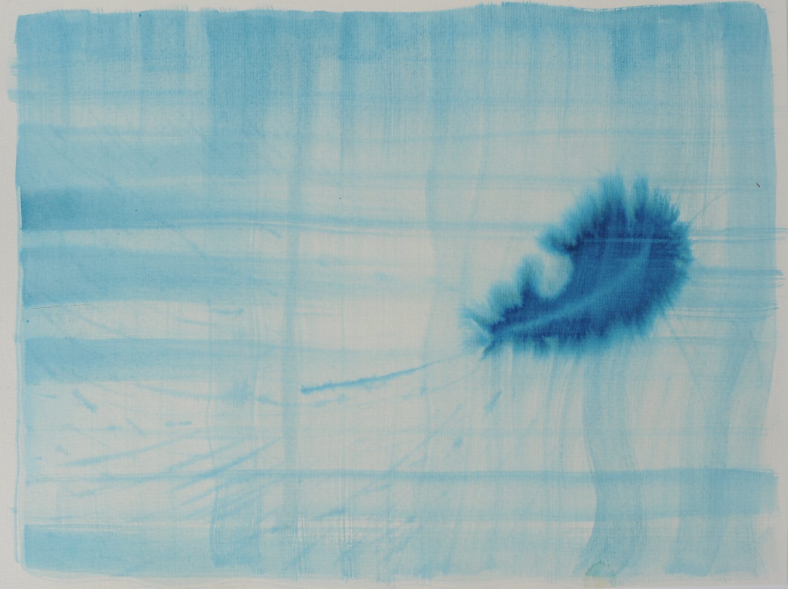 Feather,Sandra Derks