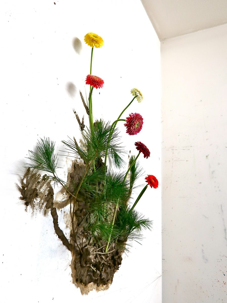 Flowers10,Sandra Derks