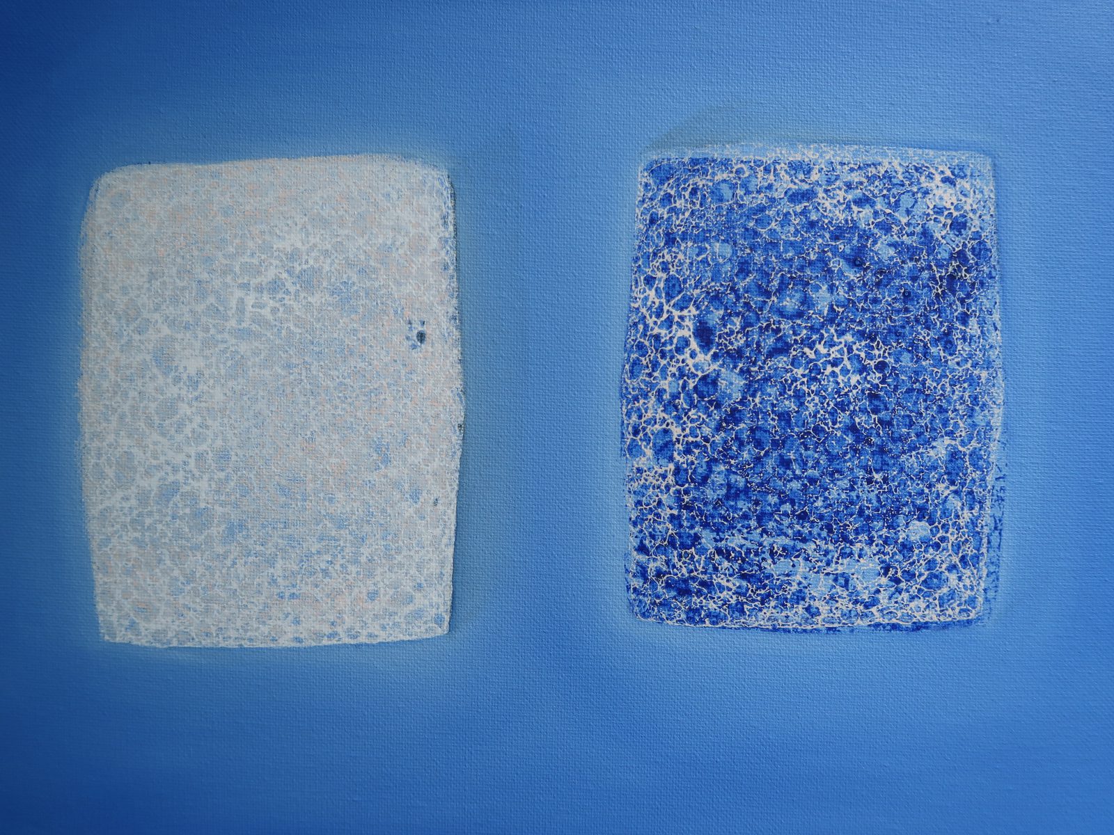 Influentials, sandra Derks