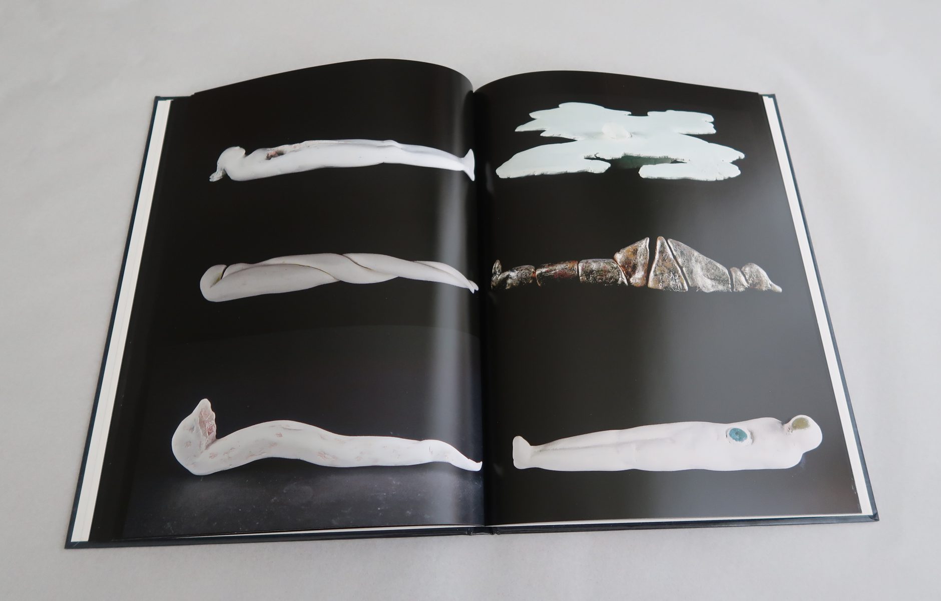 CLAYERS,book sandra derks