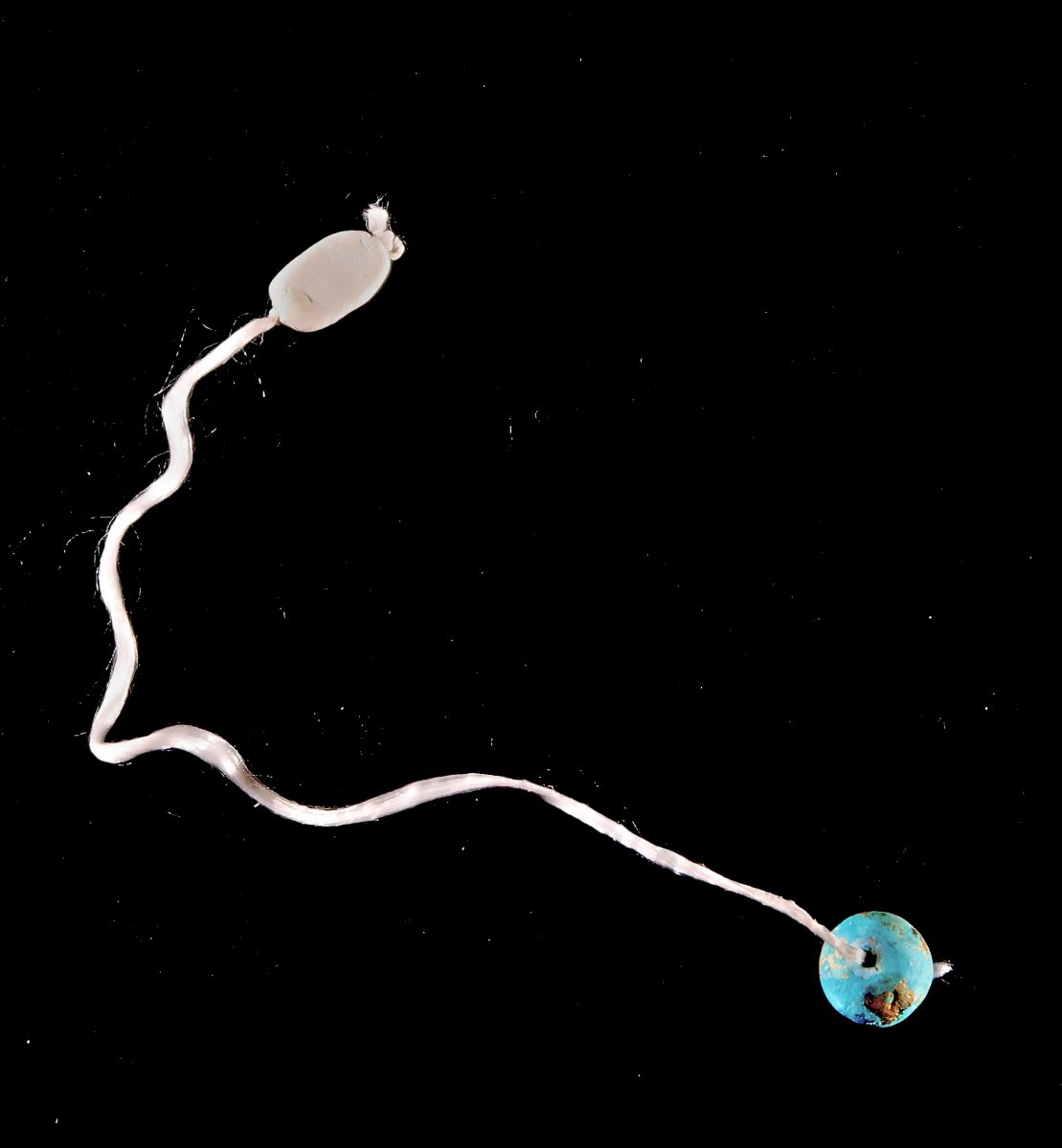 clayer1,Sandra Derks