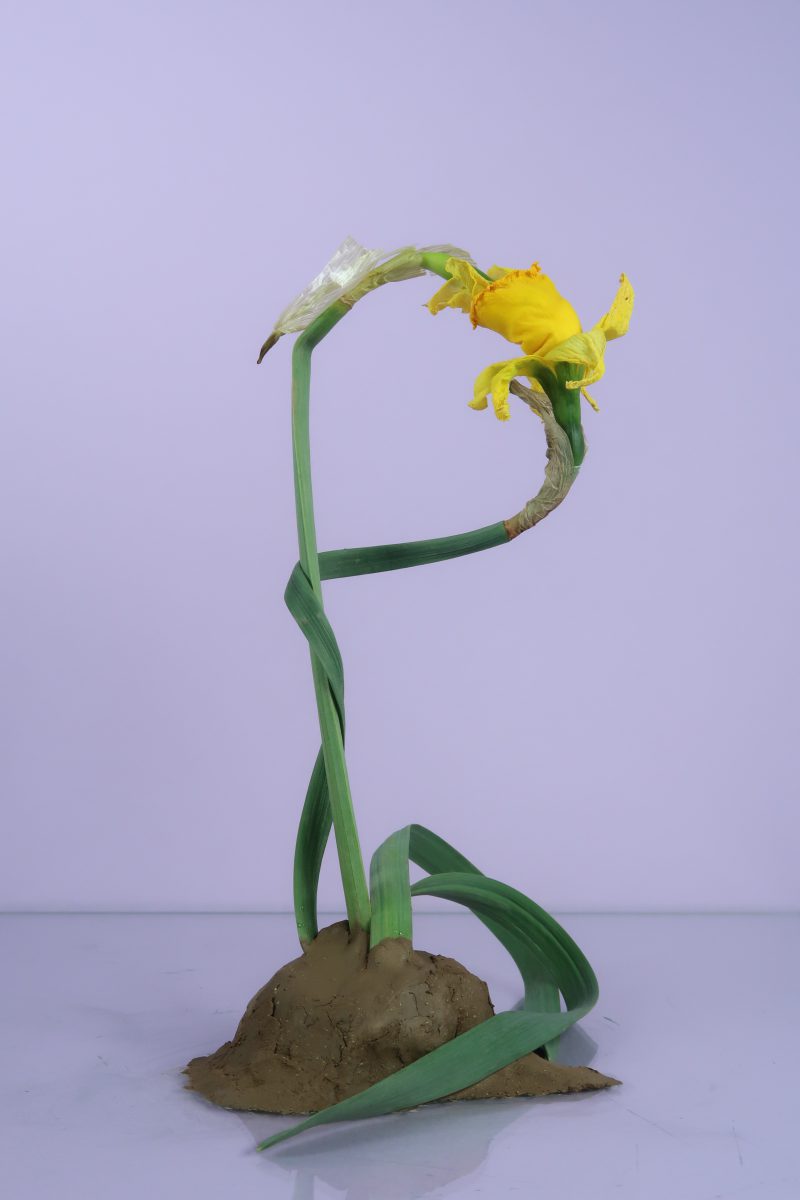 intertwined3,Sandra Derks