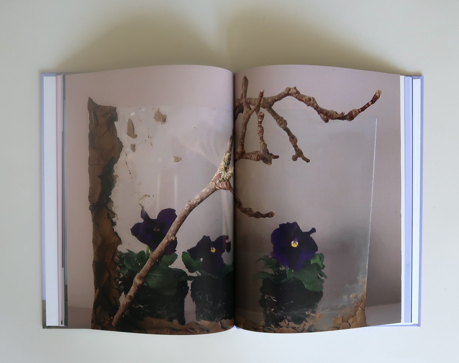 Flowers,page 20,Sandra Derks